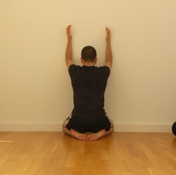 Serratus Wall Slide
