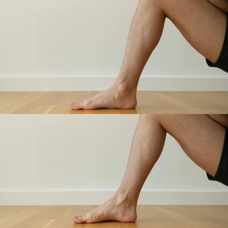 Arch Creation / The 'Short Foot' Exercise
