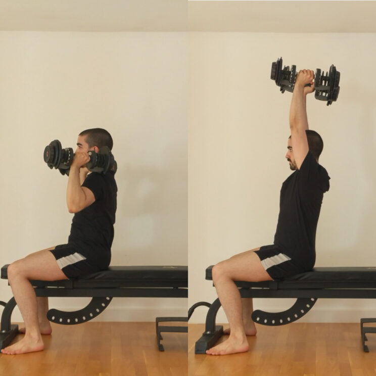 Upright Seated DB OHP